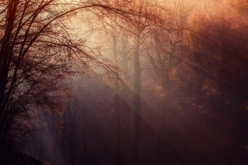 herbst herbst